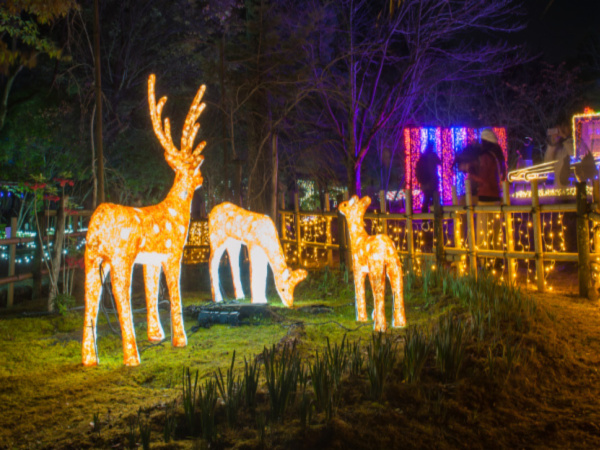 christmas light installation baton rouge, LA